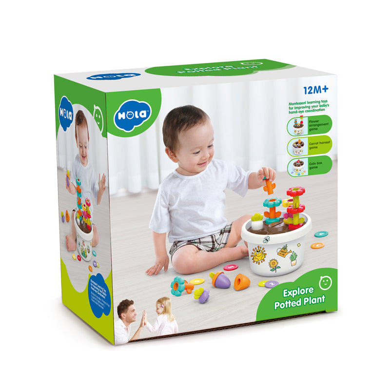 Explore Potted Plant - Image 5